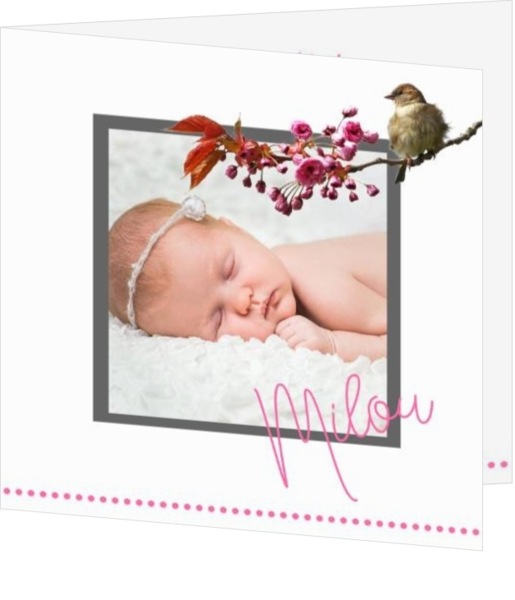 Geboortekaartje met eigen foto, wel zo uniek! - hip geboortekaartje met takje met vogeltje en eigen foto mak17013002, vk
