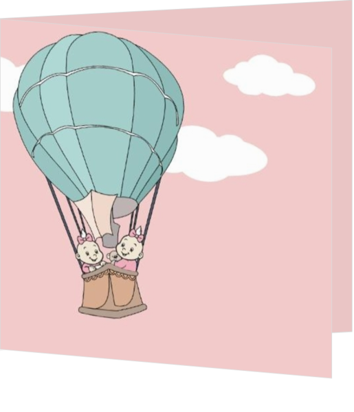 Geboortekaartjes voor een tweeling geboorte - geboortekaartje tweeling meisjes in luchtballon jb17042412, vk
