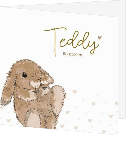 Geboortekaartje lief konijntje Teddy