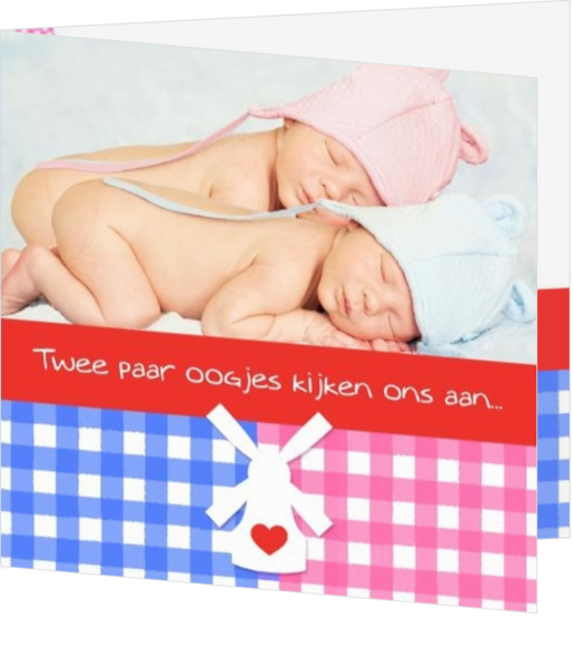 Geboortekaartjes voor een tweeling geboorte - geboortekaartje CREG062