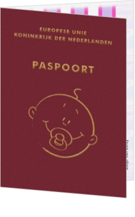 Cartoon en getekende geboortekaartjes ontwerpen - Geboortekaartje paspoort meisje