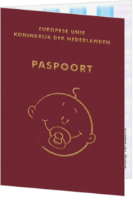 Cartoon en getekende geboortekaartjes ontwerpen - Geboortekaartje paspoort jongen