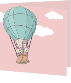 Geboortekaartjes voor een tweeling geboorte - geboortekaartje tweeling meisjes in luchtballon jb17042412, vk