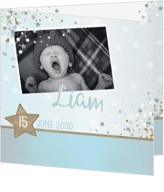 Geboortekaartje voor een zoon of jongen - geboortekaartje HBG009