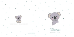 Schattig geboortekaartje met een lief koalabeertje en sterretjes Achterkant/Voorkant