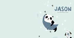 Ruimte panda Achterkant/Voorkant