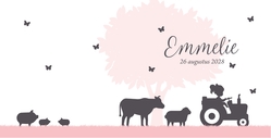Geboortekaartje boerderij meisje roze Achterkant/Voorkant